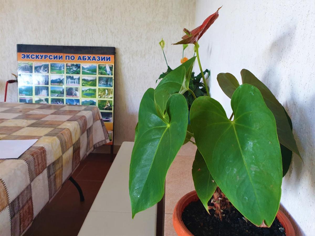 Guest House Lykhny Gagra Exterior foto